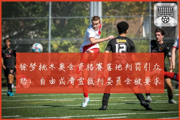 徐梦桃冬奥会资格赛落地判罚引众怒，自由式滑雪裁判委员会被要求公开评分细则