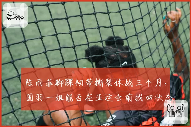 陈雨菲脚踝韧带撕裂休战三个月，国羽一姐能否在亚运会前找回状态？