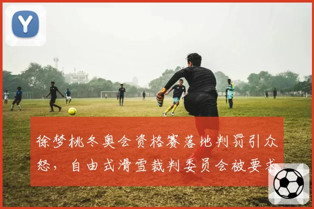 徐梦桃冬奥会资格赛落地判罚引众怒，自由式滑雪裁判委员会被要求公开评分细则